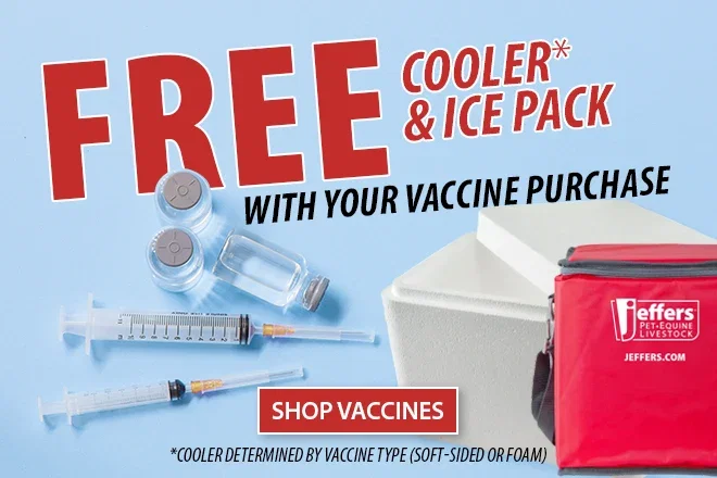 FREE COOLER