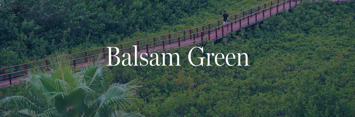 Balsam Green 