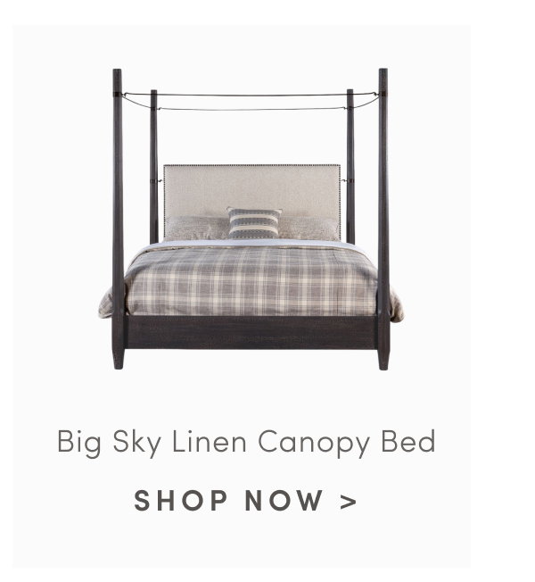 Big Sky Linen Canopy Bed