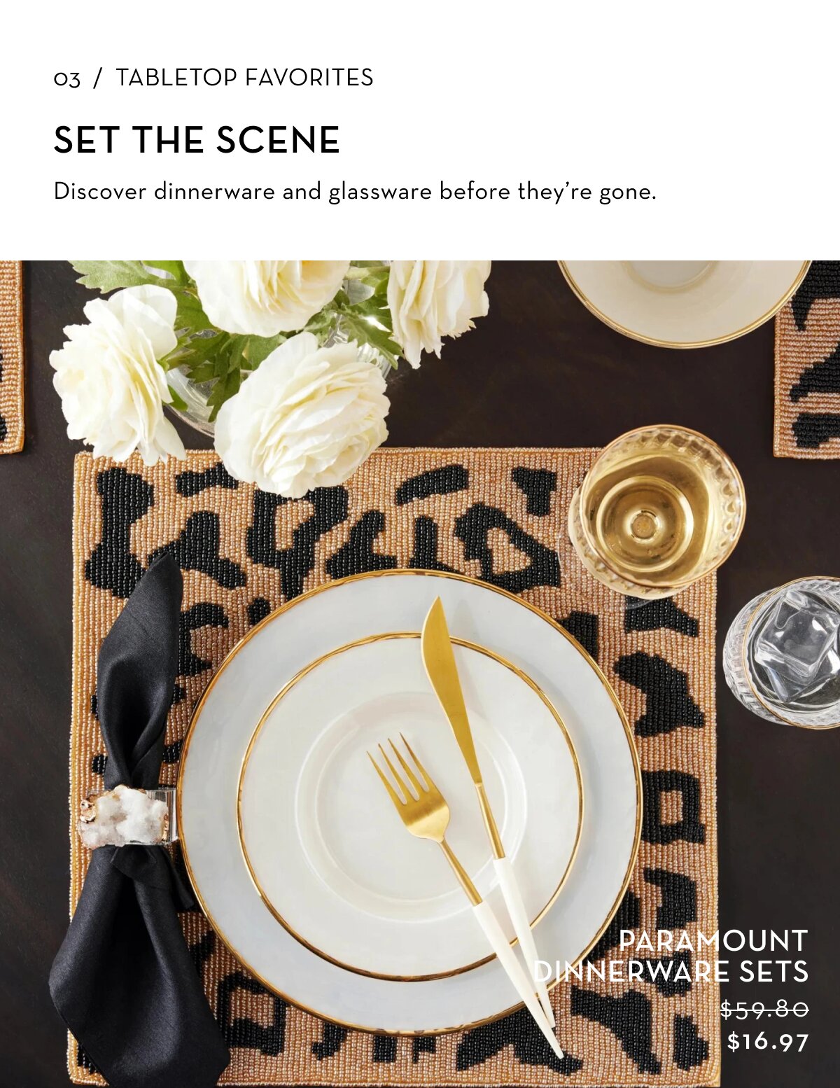 Paramount Dinnerware Sets