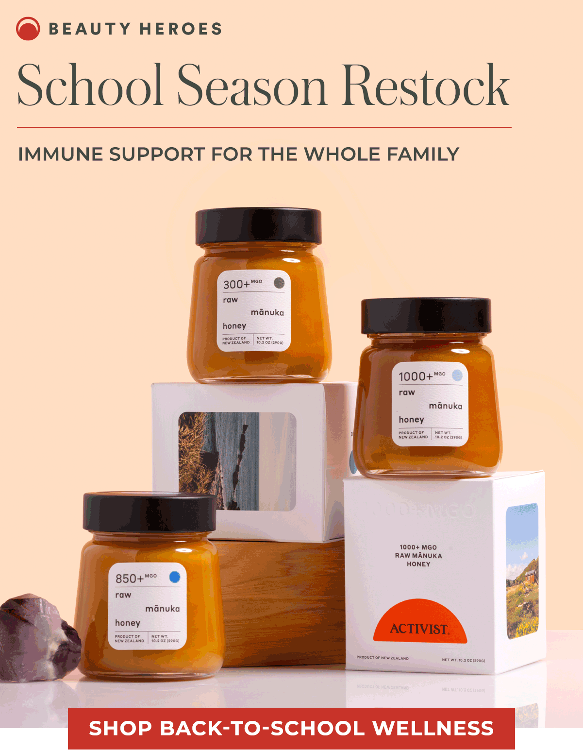 School Season Restock | Immune Support for the Whole Family 