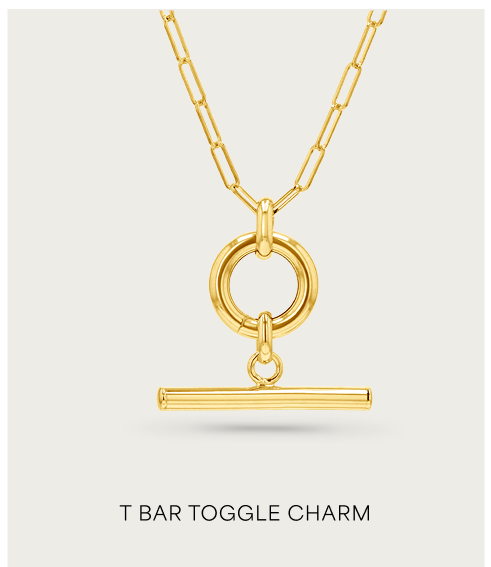 T Bar Toggle Charm Necklace