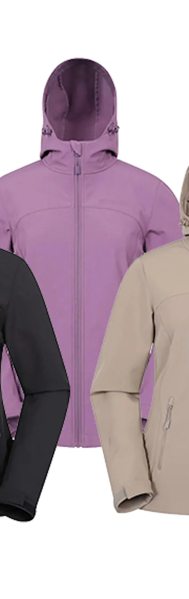 Dusky Purple