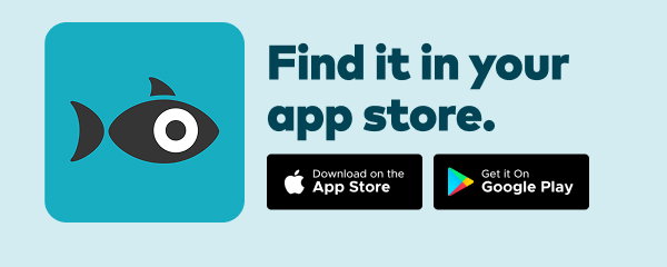 Find it in your app store. Download on the app store. Get it on Google Play.