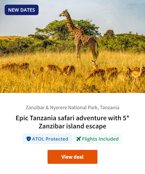 Epic Tanzania safari adventure with 5* Zanzibar island escape