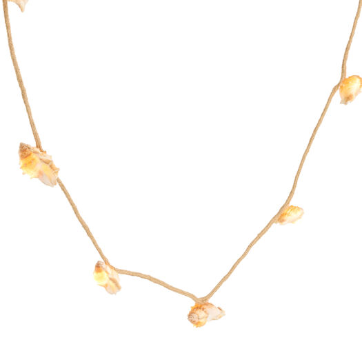 Natural Seashell and Jute LED Battery Operated String Lights