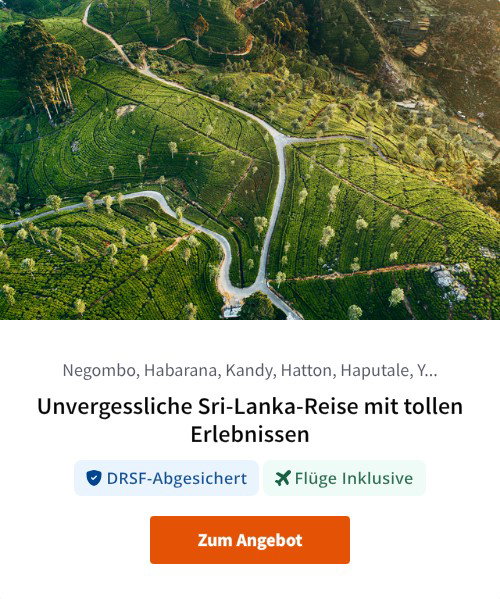 Unvergessliche Sri-Lanka-Reise mit tollen Erlebnissen