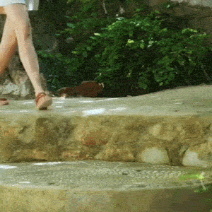 ABEO Oasis Sandal
