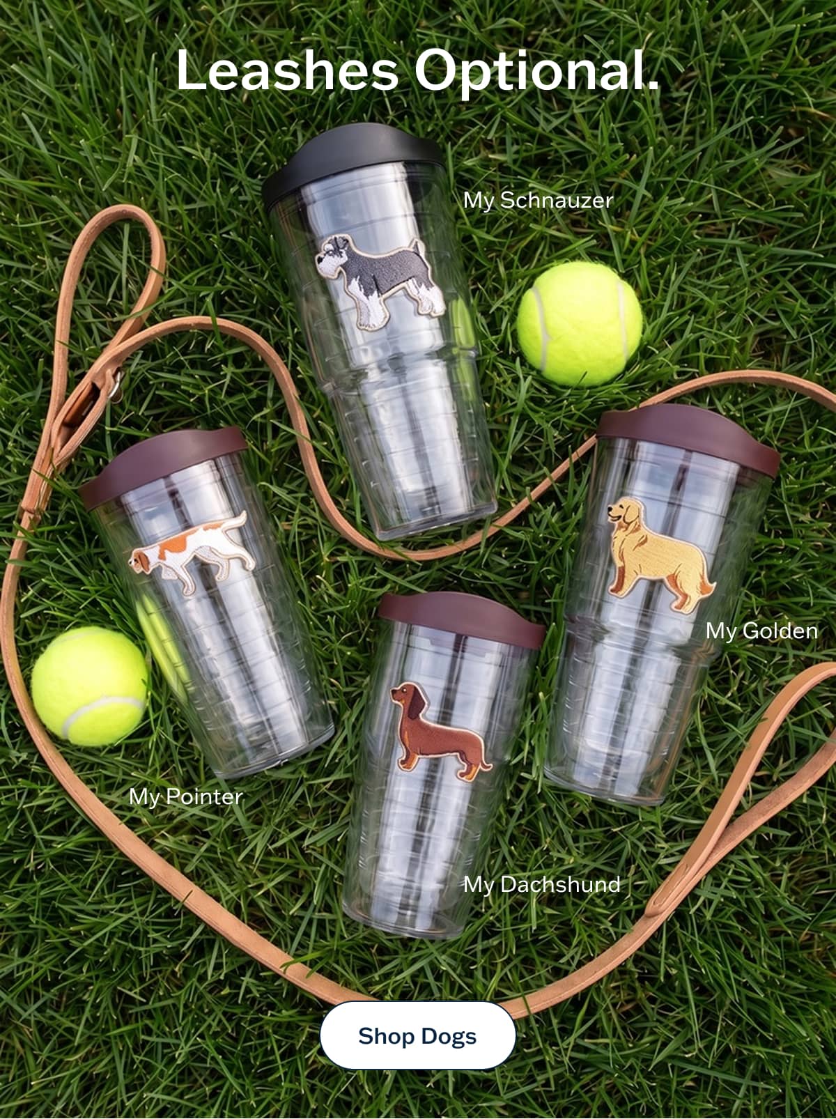 Leashes Optional. Shop Dogs