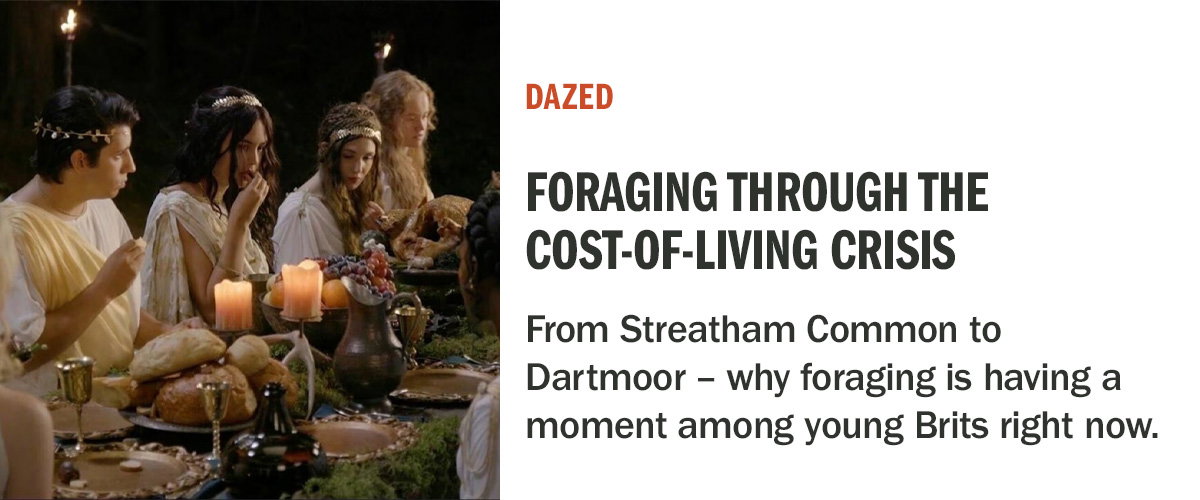 Detours | Young people are foraging their way out of the cost-of-living crisis | DAZED