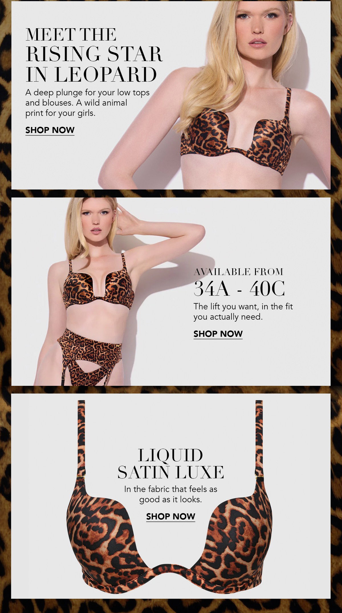 Meet the Rising Star in Leopard [Shop Now]
