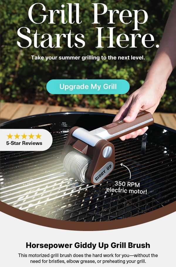Horsepower Giddy Up Grill Brush