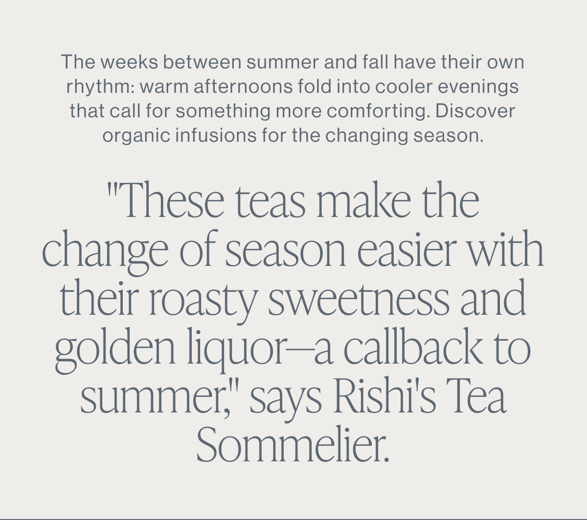 Shop Fall Teas