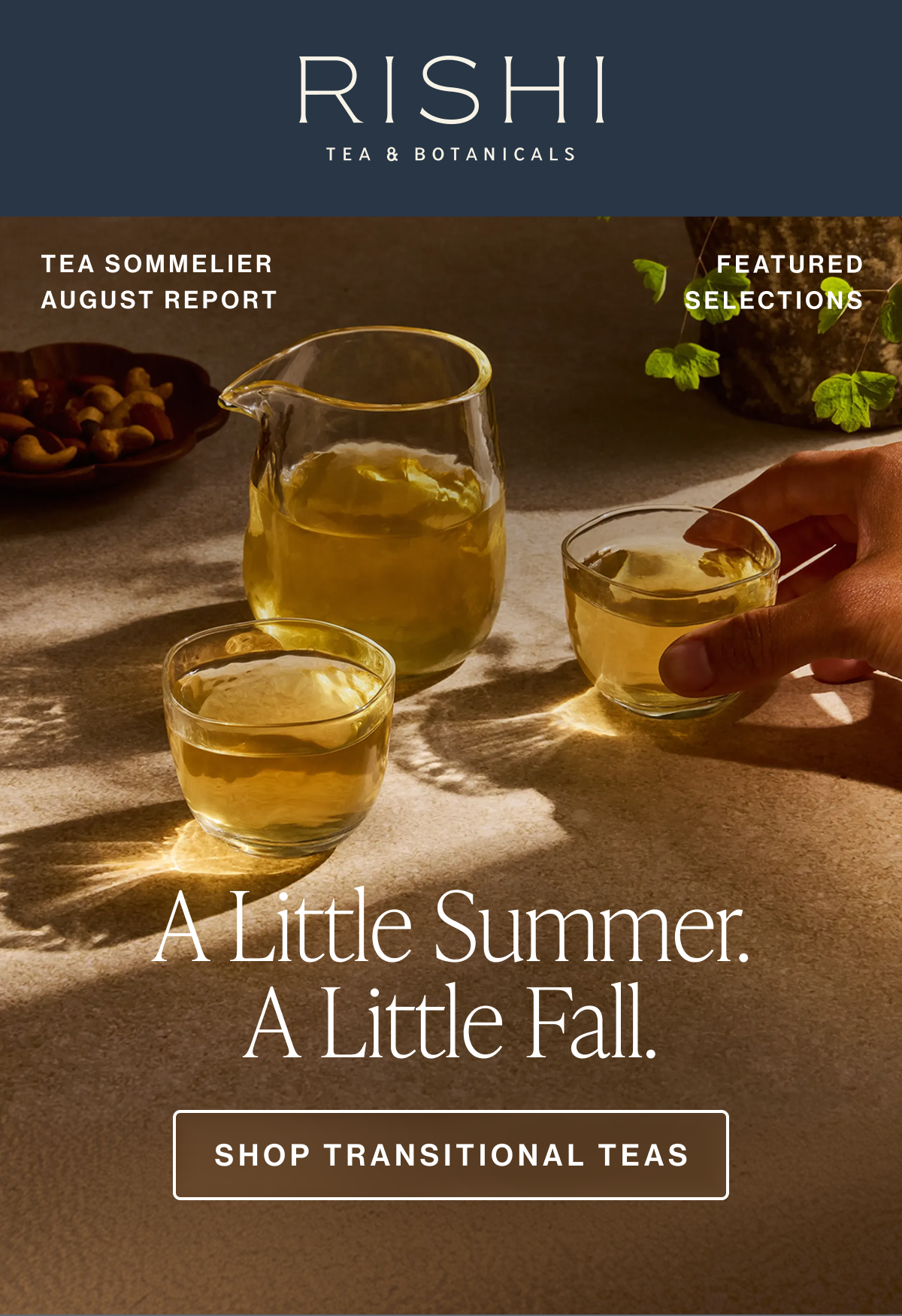 Shop Fall Teas