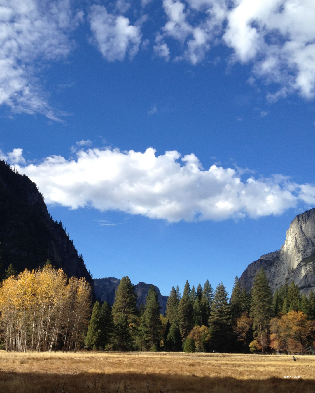 The Lightroom Classic Library module with a clean, organized folder structure