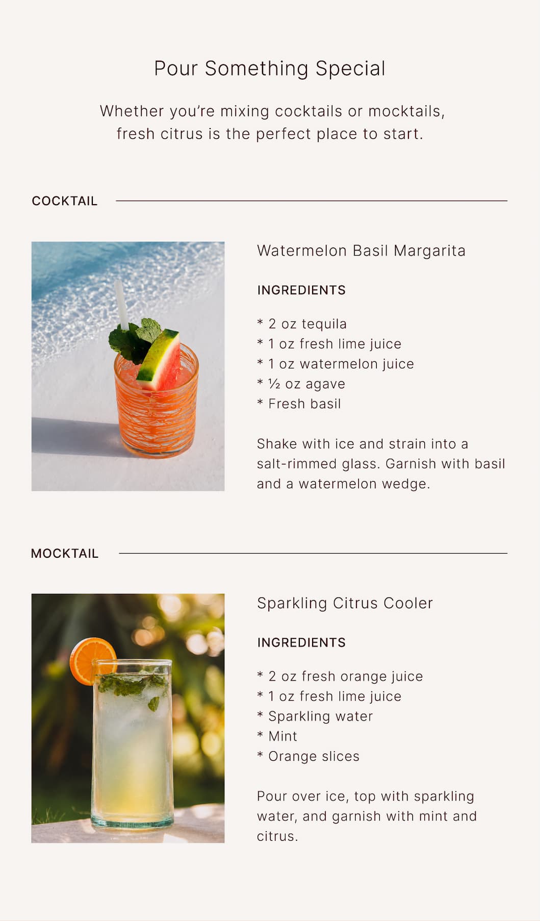 Shop Verve Culture Hosting Essentials