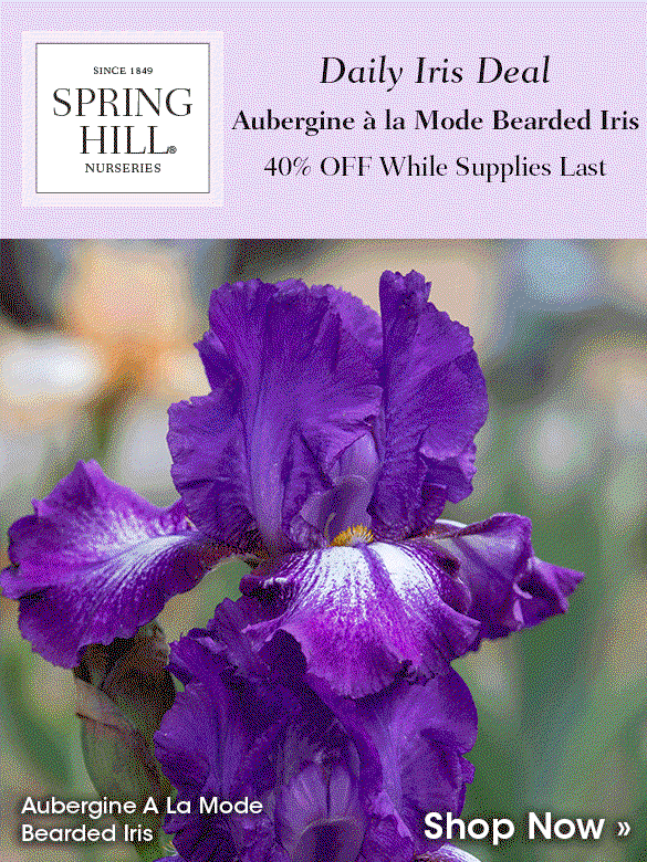 Daily Iris Deal: Lest We Forget at 40% OFF