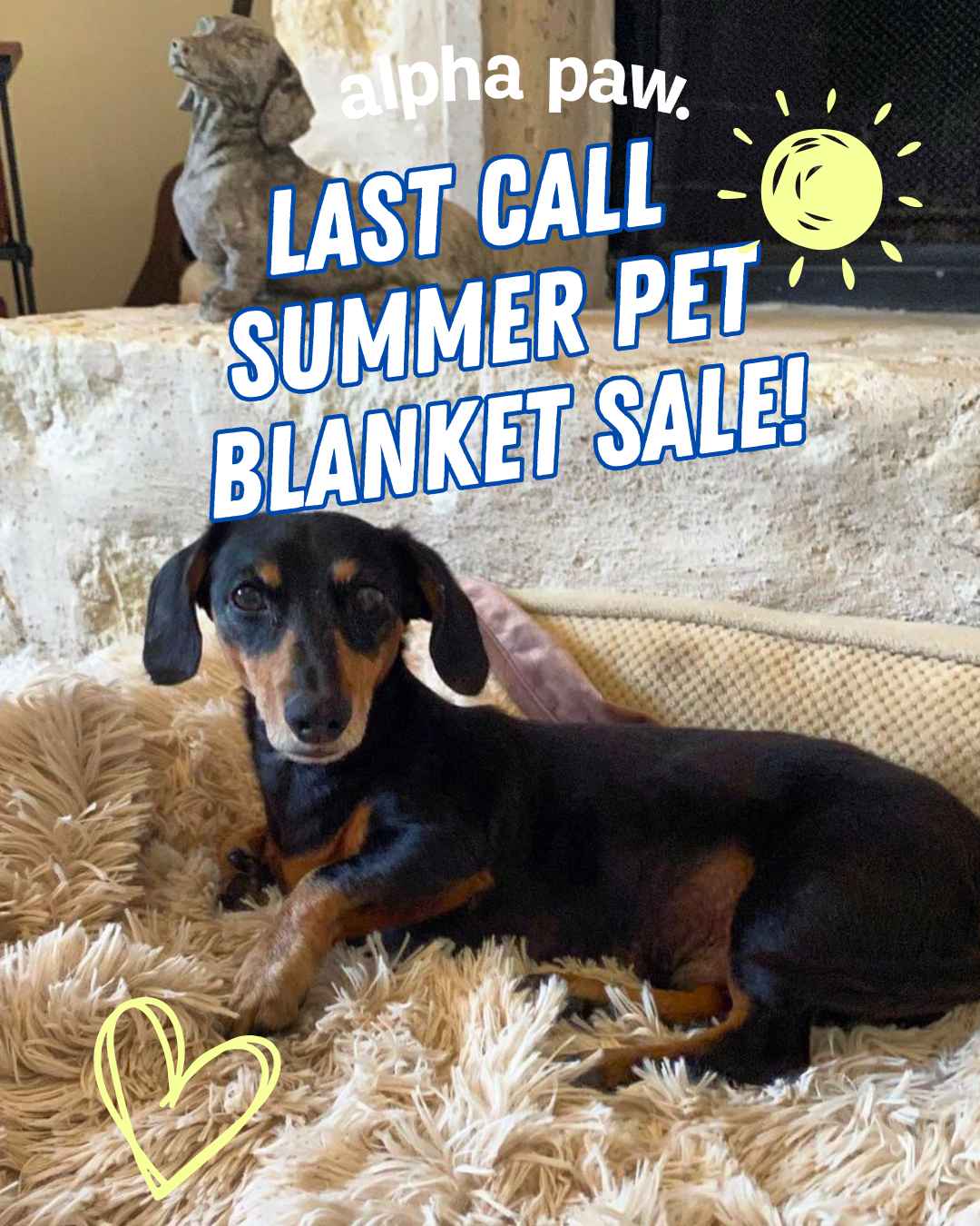 Summer Pet blanket