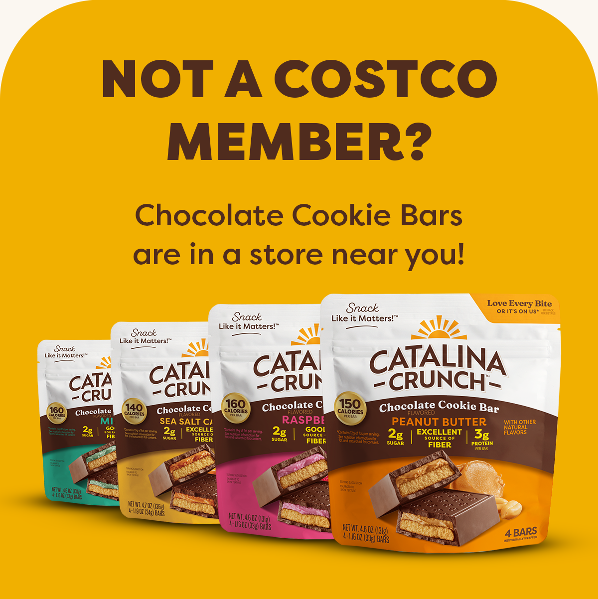 Not a Costco member? Chocolate Cookie Bars are in a store near you!