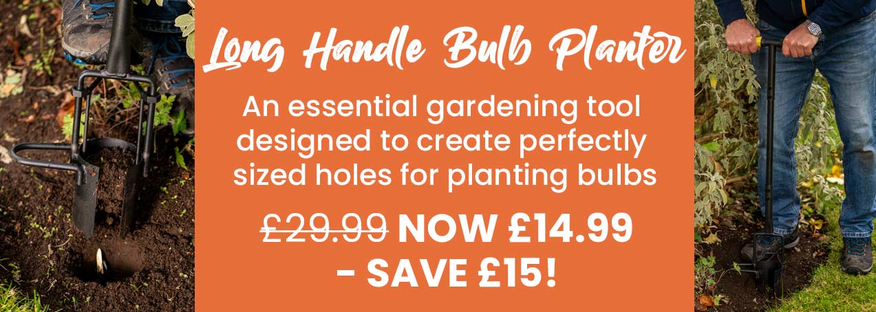 Long Handle Bulb Planter