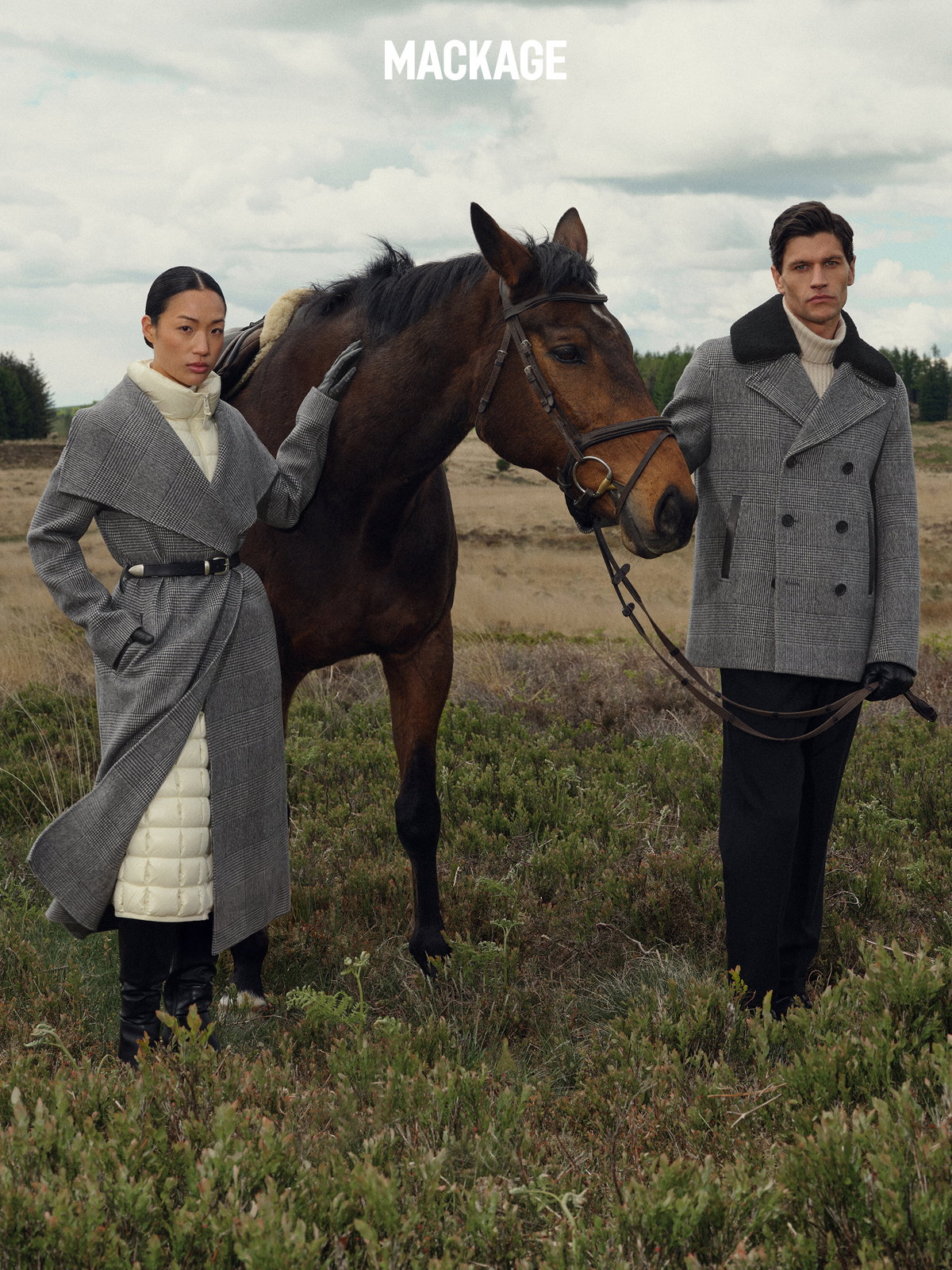 Discover the Collection