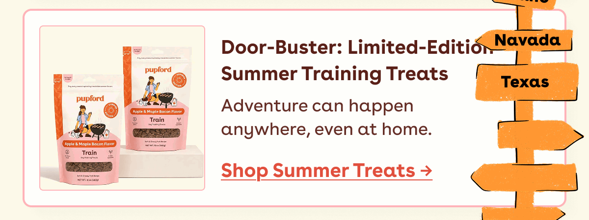 Shop summer treats