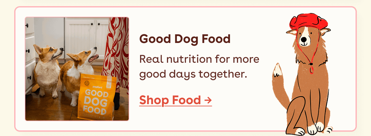 Good dog food