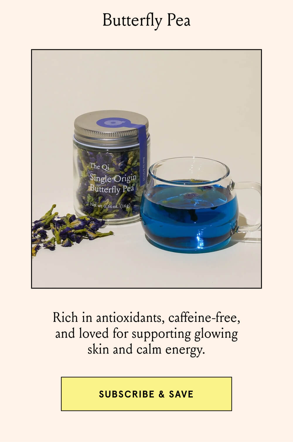 Butterfly Pea