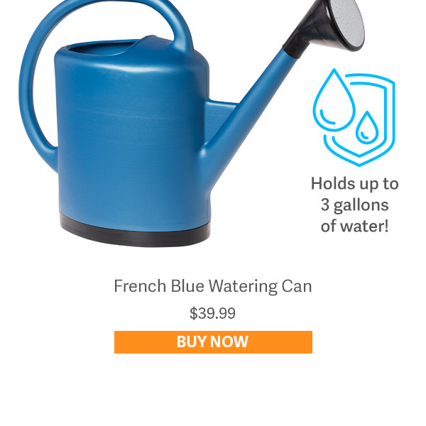 Holds up to 3 gallons of water! French Blue Watering Can $39.99 - BUY NOW