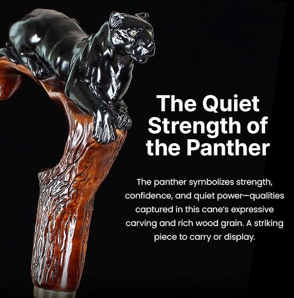 The Quiet Strength of the Panther