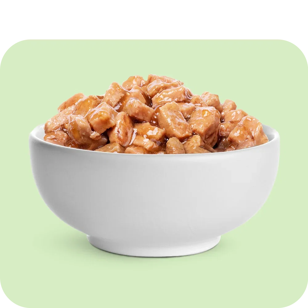 Cat Food