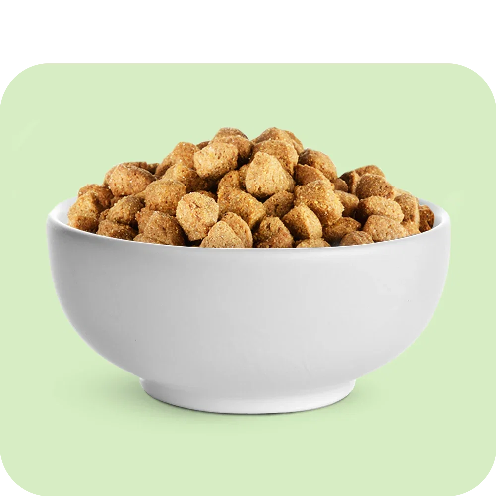 Dog Food