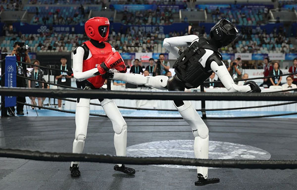 Two humanoid robots compete in the free combat fight in a boxing ring.