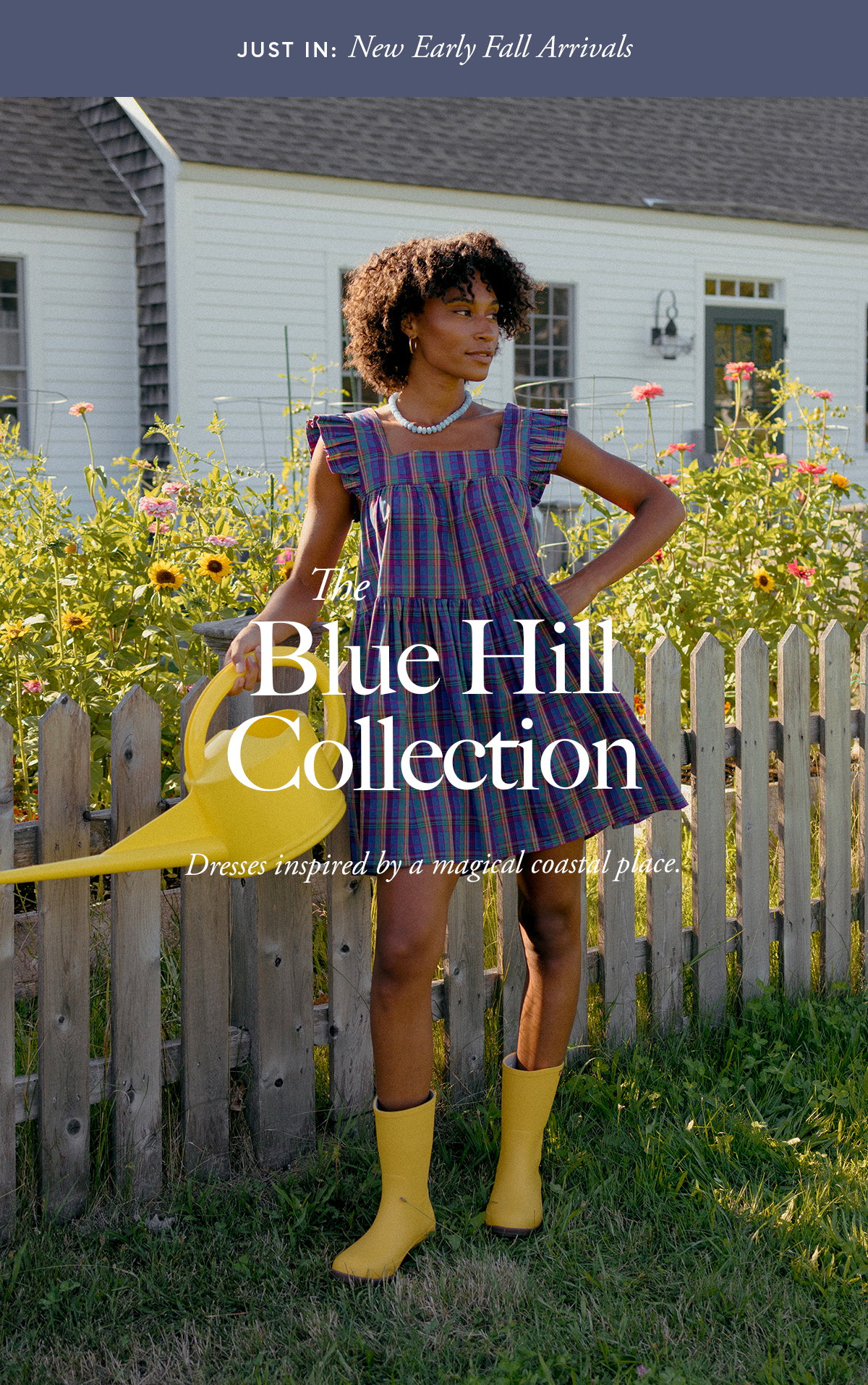 The Blue Hill Collection