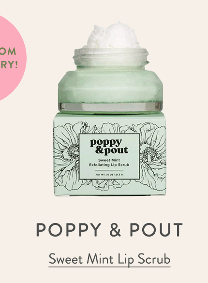 Sweet Mint Lip Scrub 