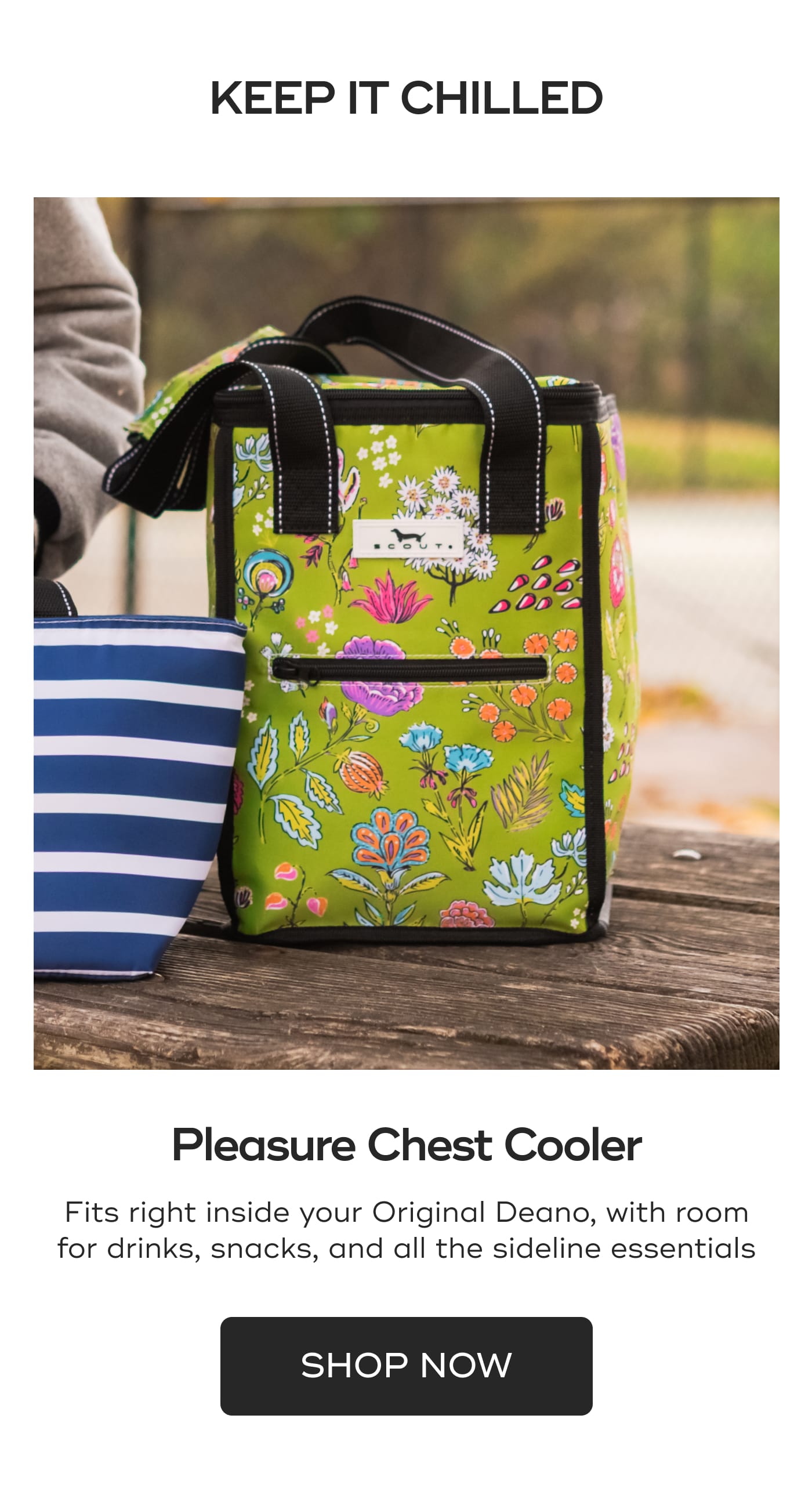 KEEP IT CHILLED. Pleasure Chest Cooler. Fits right inside your Original Deano, with room for drinks, snacks, and all the sideline essentials. SHOP NOW