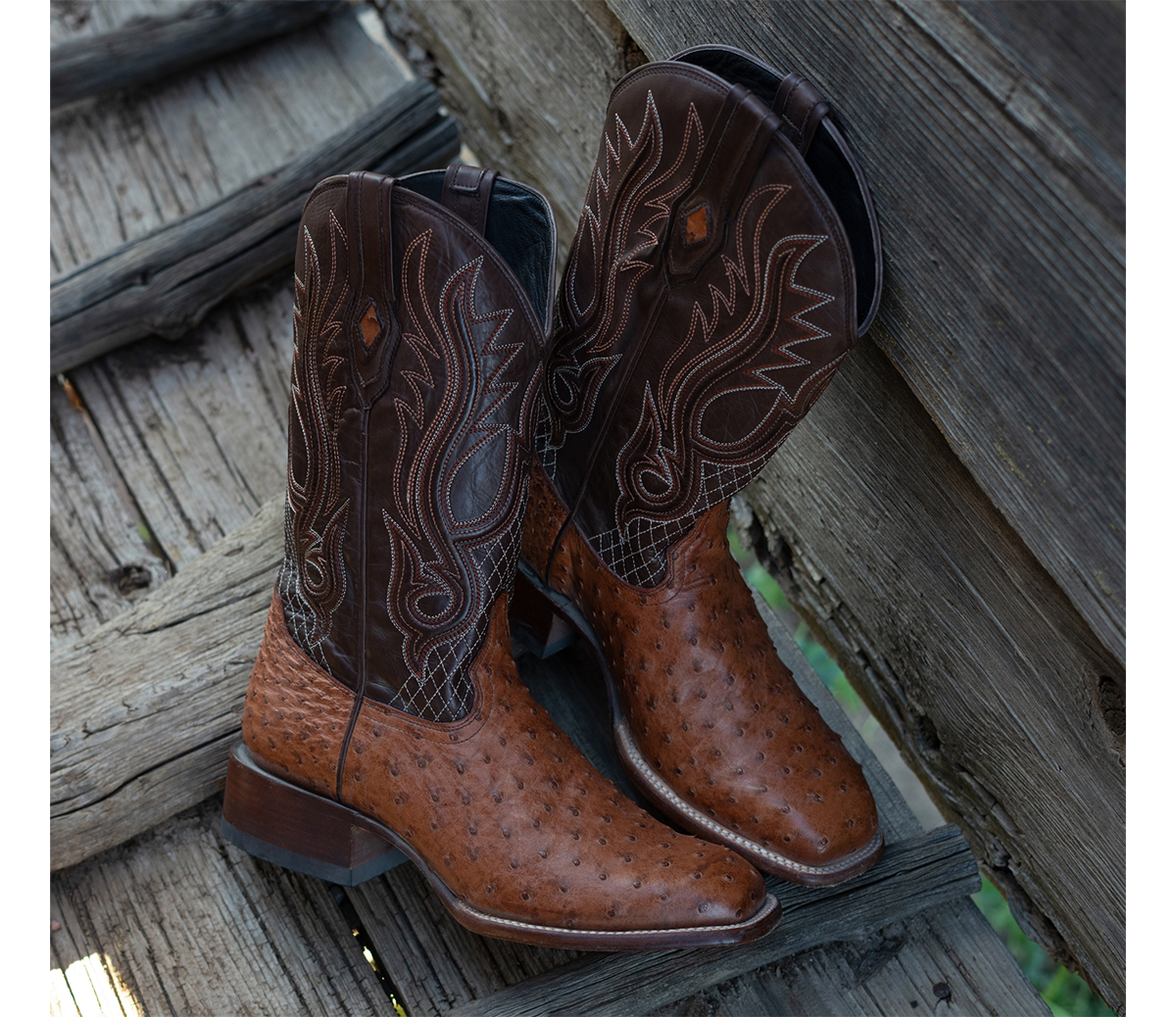 EXOTIC BOOTS