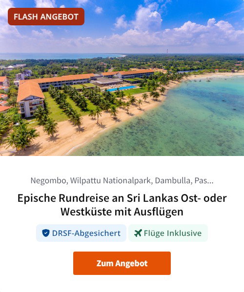 Epische Rundreise an Sri Lankas Ost- oder Westküste mit Ausflügen