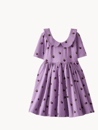 Collared Skater Dress with Pockets