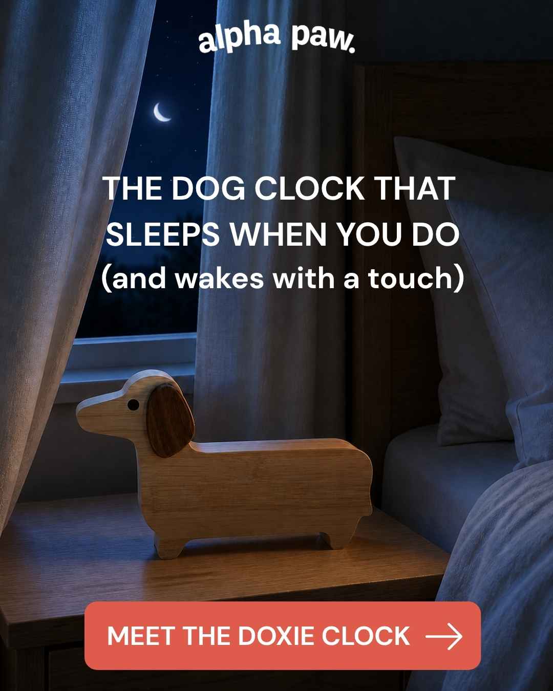 Doxie Clock