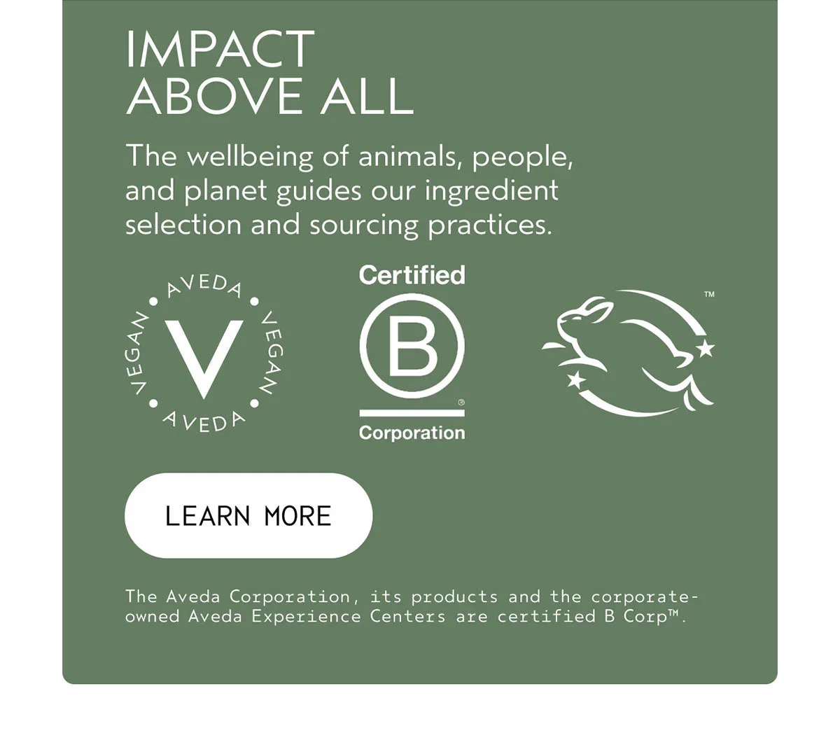 IMPACT ABOVE ALL | The wellbeing of animals, people, and planet guides our ingredient selection and sourcing practices. | LEARN MORE | The Aveda Corporation, its products and the corporate-owned Aveda Experience Centers are certified B Corp™.