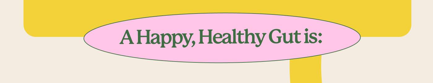 Improved Digestion Breaks down food efficiently for better nutrient absorption