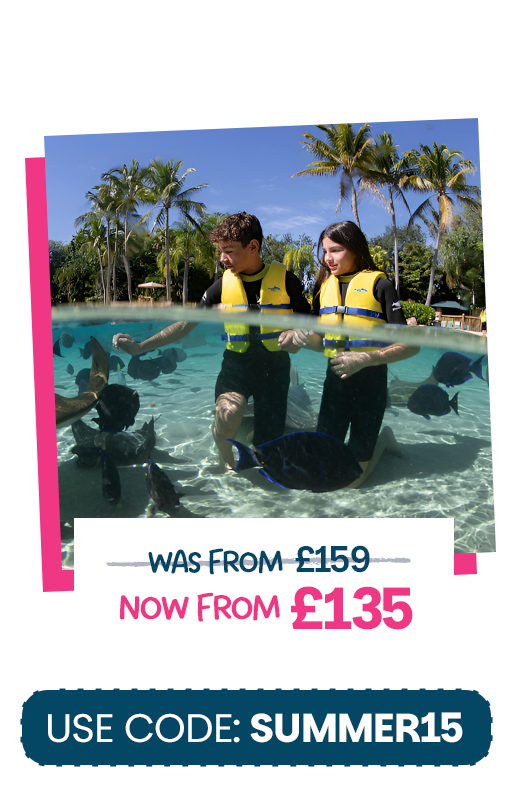 15% off Discovery Cove Packages