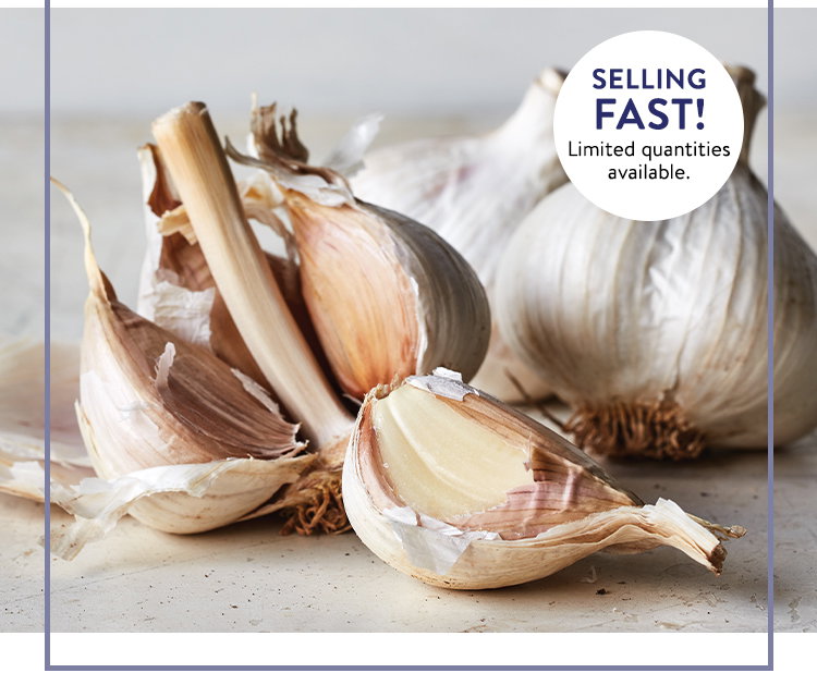 Garlic, Music