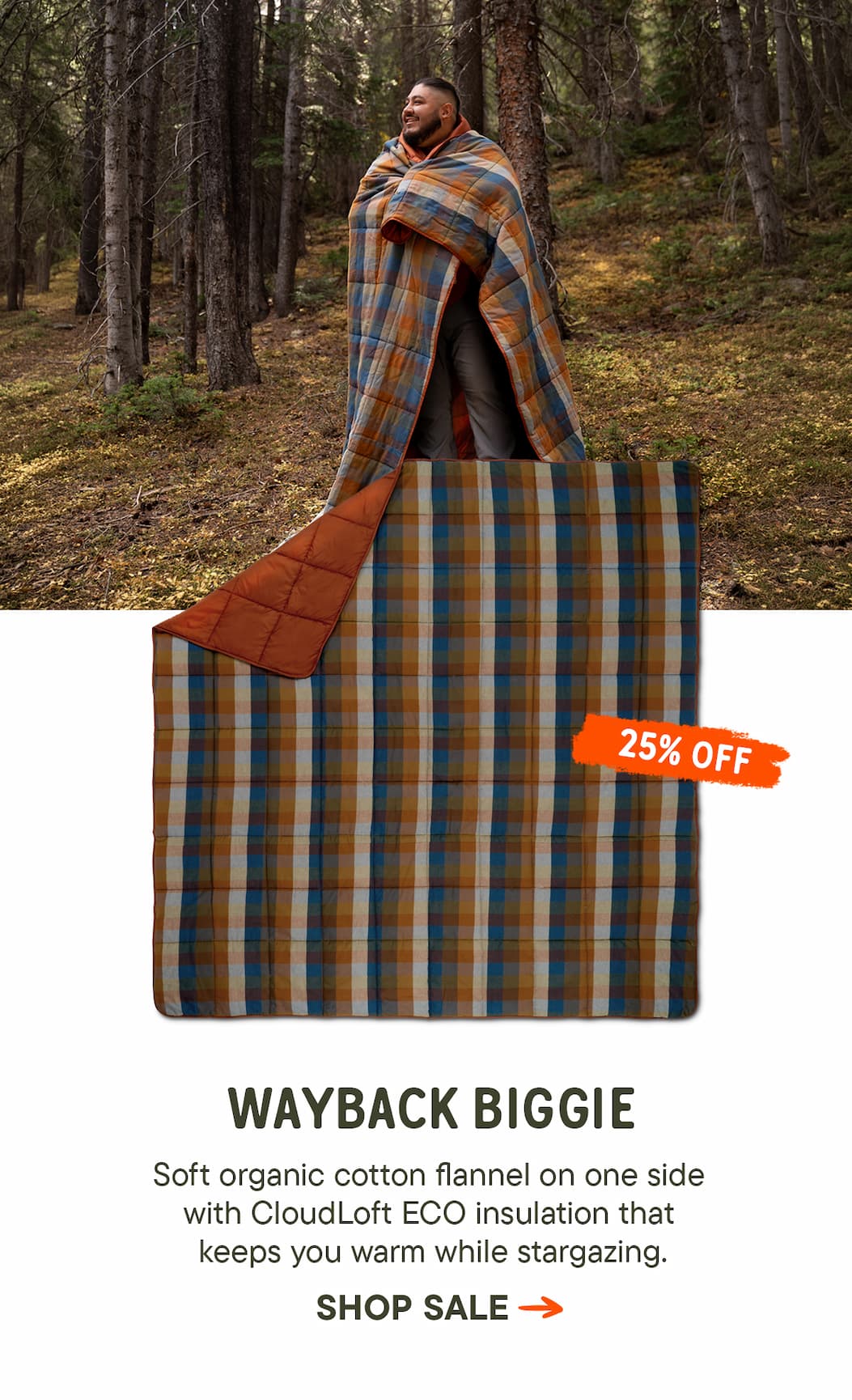 Shop Wayback Biggie Blanket