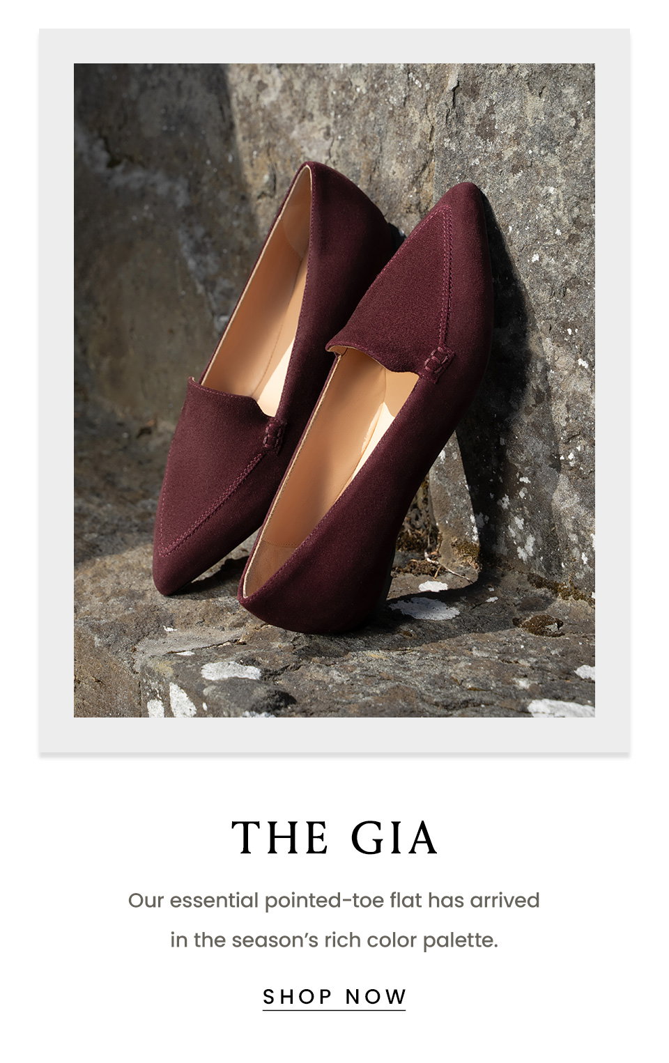 The Gia | Our essential pointed-toe flat has arrived in the season’s rich color palette.  < Shop Now > 