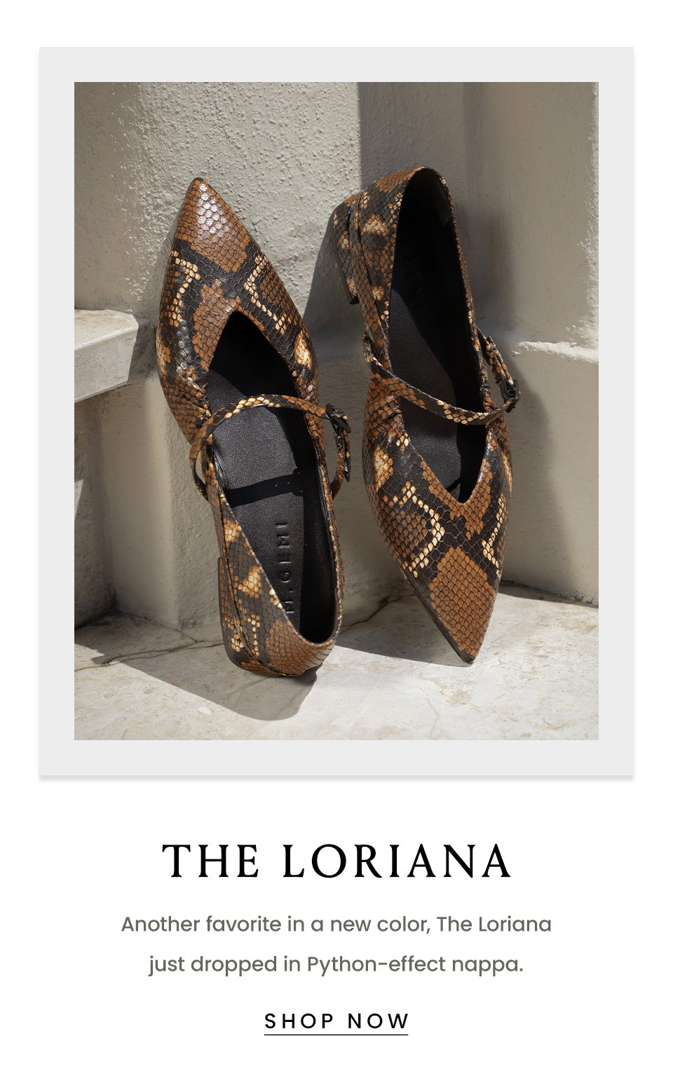 The Loriana | Another favorite in a new color, The Loriana just dropped in Python-effect nappa. < Shop Now > 