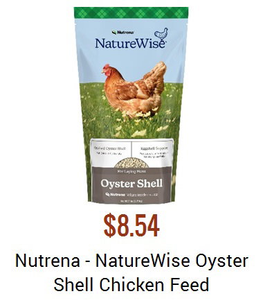 View product recommended for you