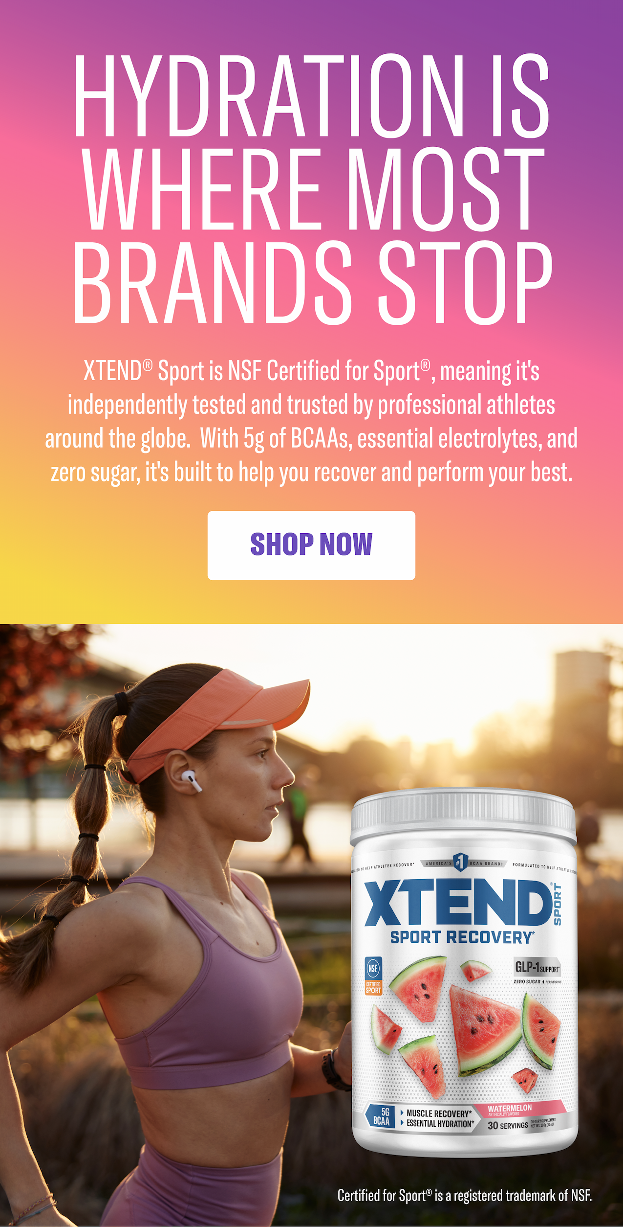 SHOP NOW
