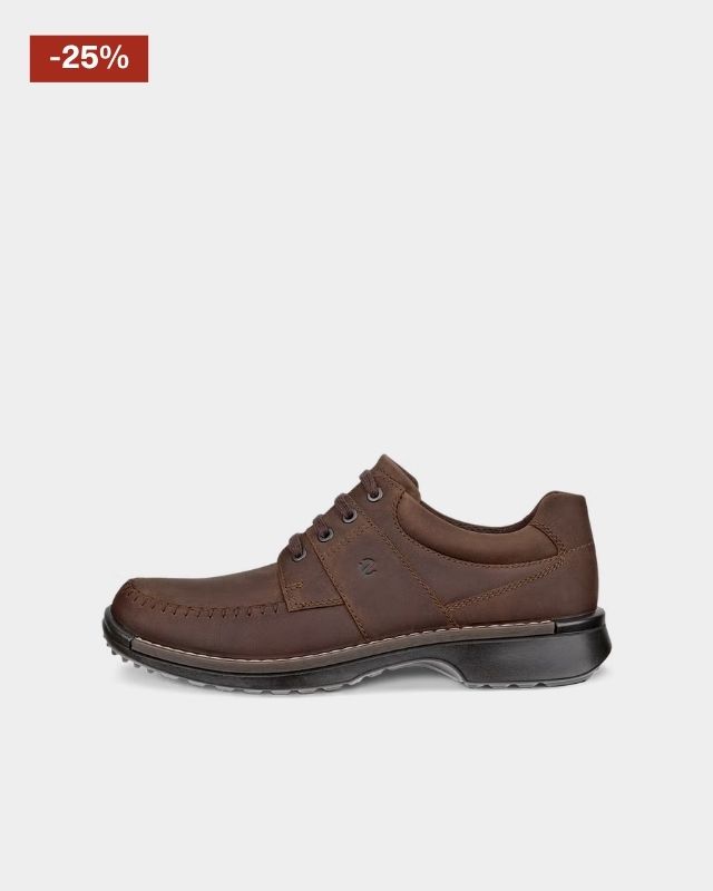 ECCO Fusion